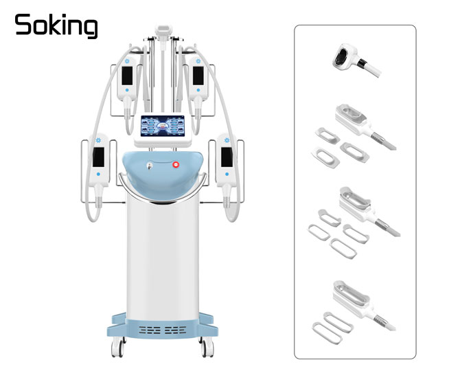 5 handles 360 cryolipolysis slimming machine